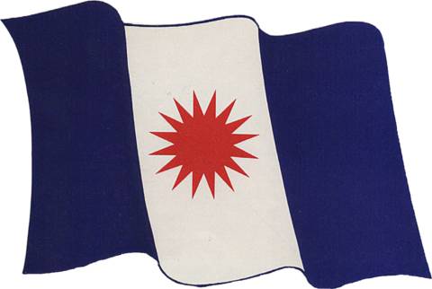 Tai federation flag.