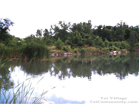 Tai Village pond.